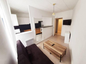 atypique Appartement T3 en triplex – calme - CENTRE VILLE - entièrement rénové et équipé – parking gratuit